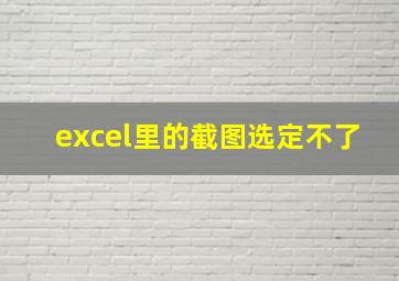 excel里的截图选定不了