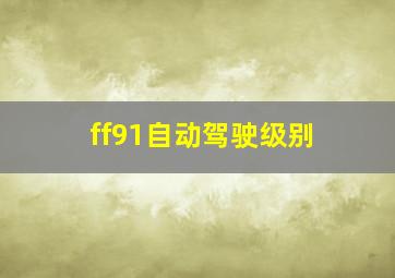 ff91自动驾驶级别