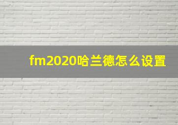 fm2020哈兰德怎么设置