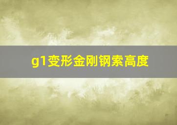 g1变形金刚钢索高度