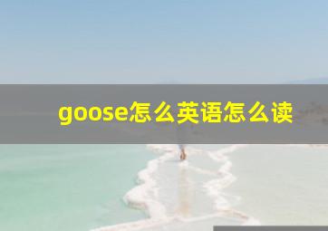 goose怎么英语怎么读