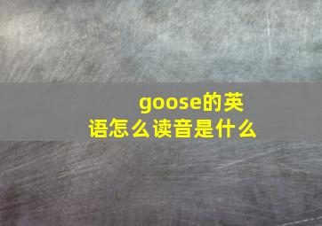 goose的英语怎么读音是什么