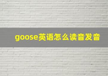 goose英语怎么读音发音