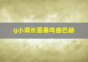 g小调长笛奏鸣曲巴赫