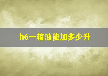 h6一箱油能加多少升