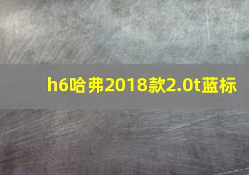 h6哈弗2018款2.0t蓝标