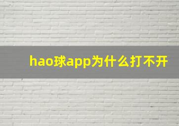 hao球app为什么打不开