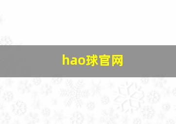 hao球官网