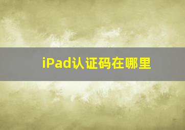 iPad认证码在哪里