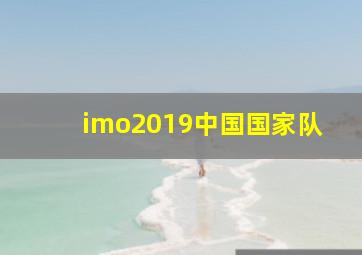 imo2019中国国家队