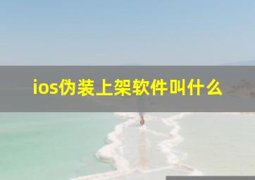 ios伪装上架软件叫什么