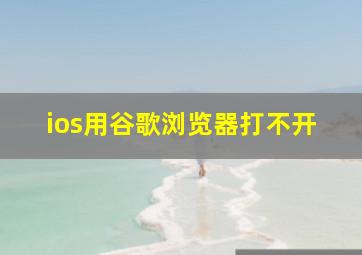 ios用谷歌浏览器打不开