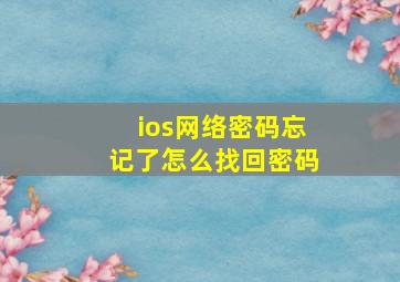 ios网络密码忘记了怎么找回密码