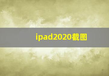 ipad2020截图