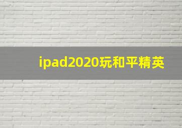 ipad2020玩和平精英