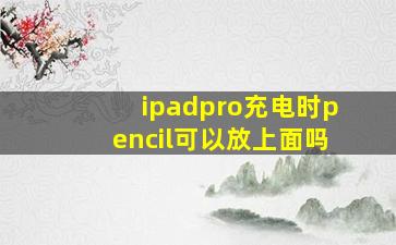 ipadpro充电时pencil可以放上面吗