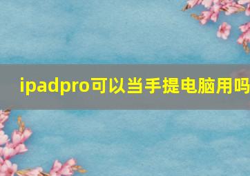 ipadpro可以当手提电脑用吗