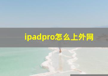 ipadpro怎么上外网