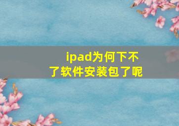 ipad为何下不了软件安装包了呢