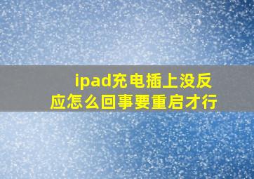 ipad充电插上没反应怎么回事要重启才行