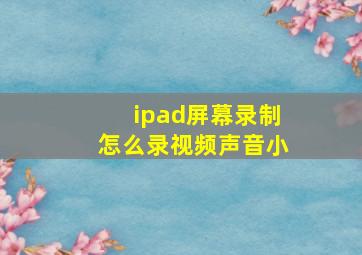 ipad屏幕录制怎么录视频声音小