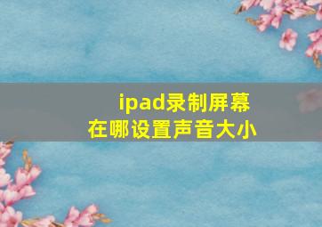 ipad录制屏幕在哪设置声音大小