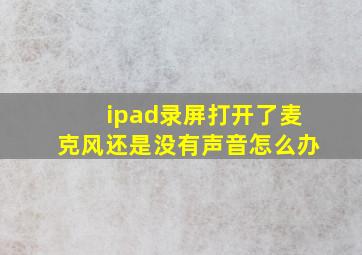 ipad录屏打开了麦克风还是没有声音怎么办