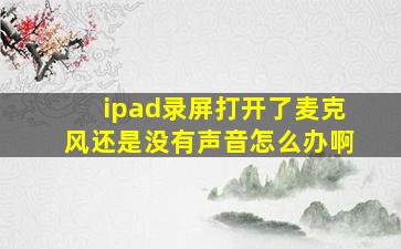 ipad录屏打开了麦克风还是没有声音怎么办啊