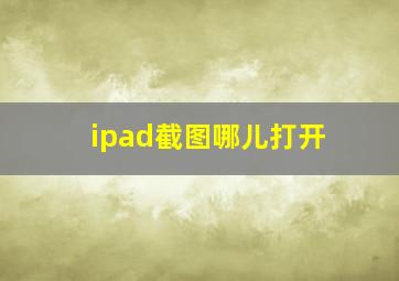 ipad截图哪儿打开