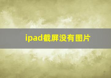 ipad截屏没有图片