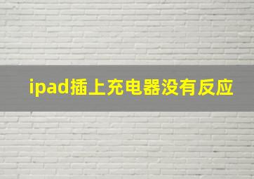 ipad插上充电器没有反应