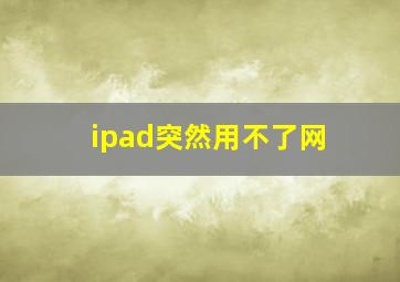 ipad突然用不了网