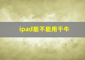 ipad能不能用千牛