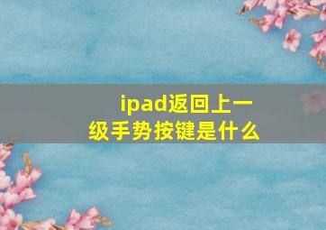 ipad返回上一级手势按键是什么