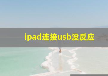 ipad连接usb没反应