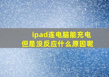 ipad连电脑能充电但是没反应什么原因呢