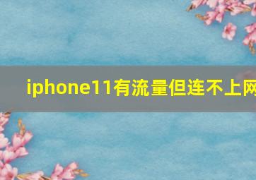 iphone11有流量但连不上网