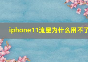 iphone11流量为什么用不了