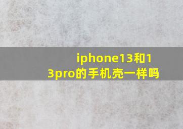 iphone13和13pro的手机壳一样吗