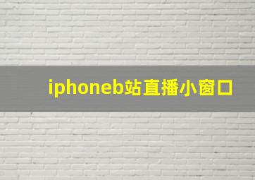 iphoneb站直播小窗口