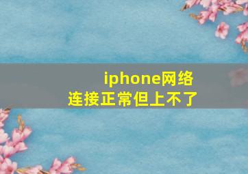 iphone网络连接正常但上不了