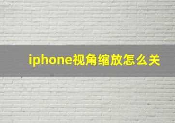 iphone视角缩放怎么关