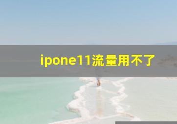 ipone11流量用不了