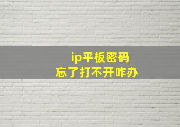 ip平板密码忘了打不开咋办