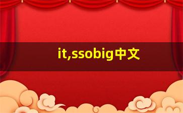 it,ssobig中文