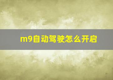 m9自动驾驶怎么开启