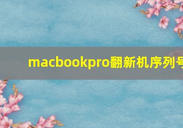 macbookpro翻新机序列号