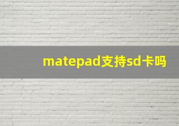 matepad支持sd卡吗