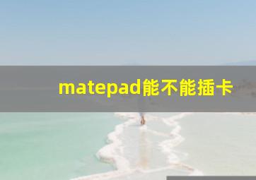 matepad能不能插卡