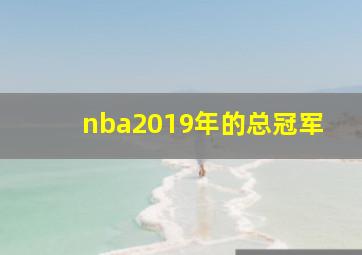 nba2019年的总冠军